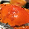 cold crab