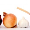Onion