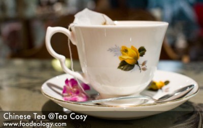 Tea_Tea-Cosy
