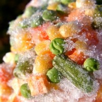 frozen food