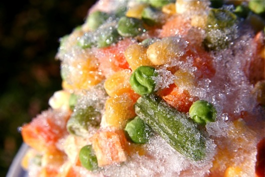 frozen food