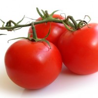 tomatoes