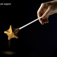 Salt and Pepper Shakers