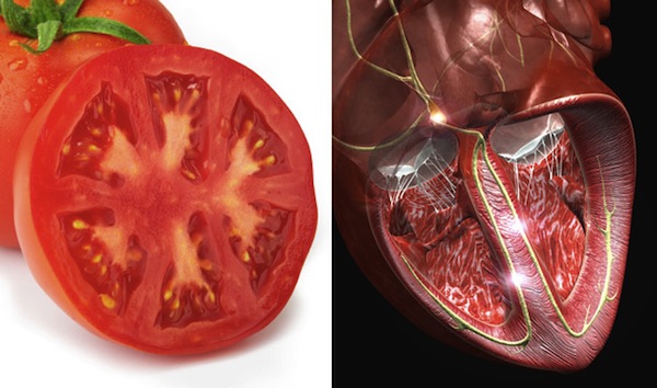 tomato and heart