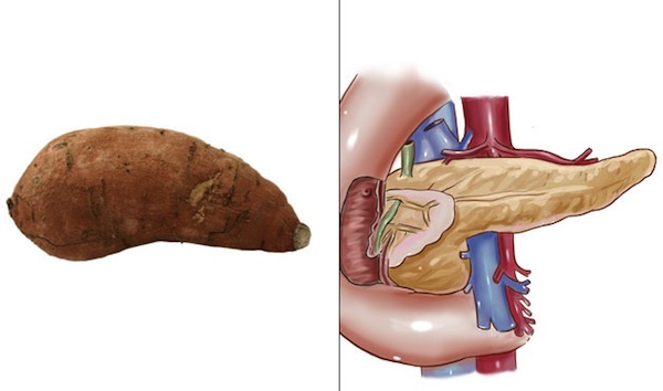 sweet potato and pancreas