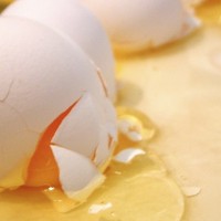 egg accident