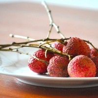 lychee