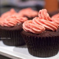 chocolate-cupcakes-with-raspberry-buttercream