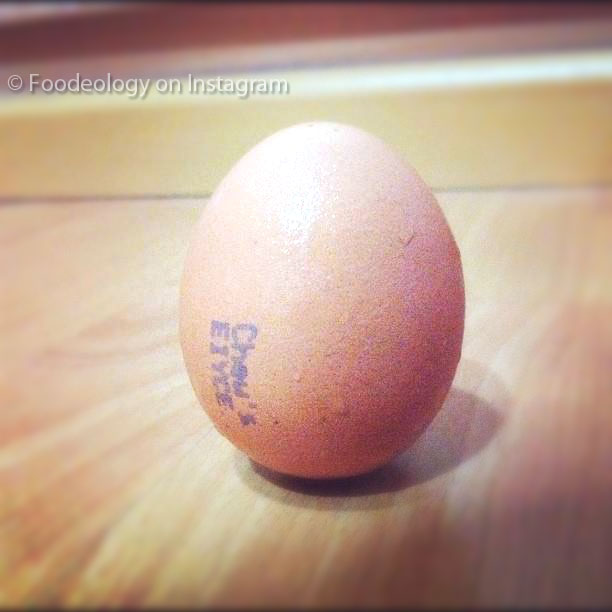 standing egg