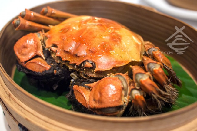 Hairy-Crab_Putien